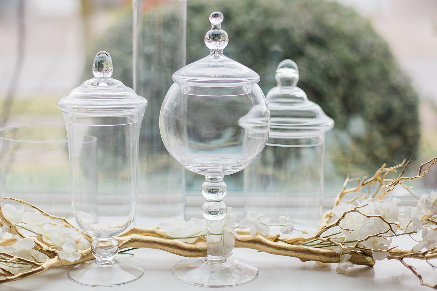 12992031_1147252021972914_2111696905_o-2